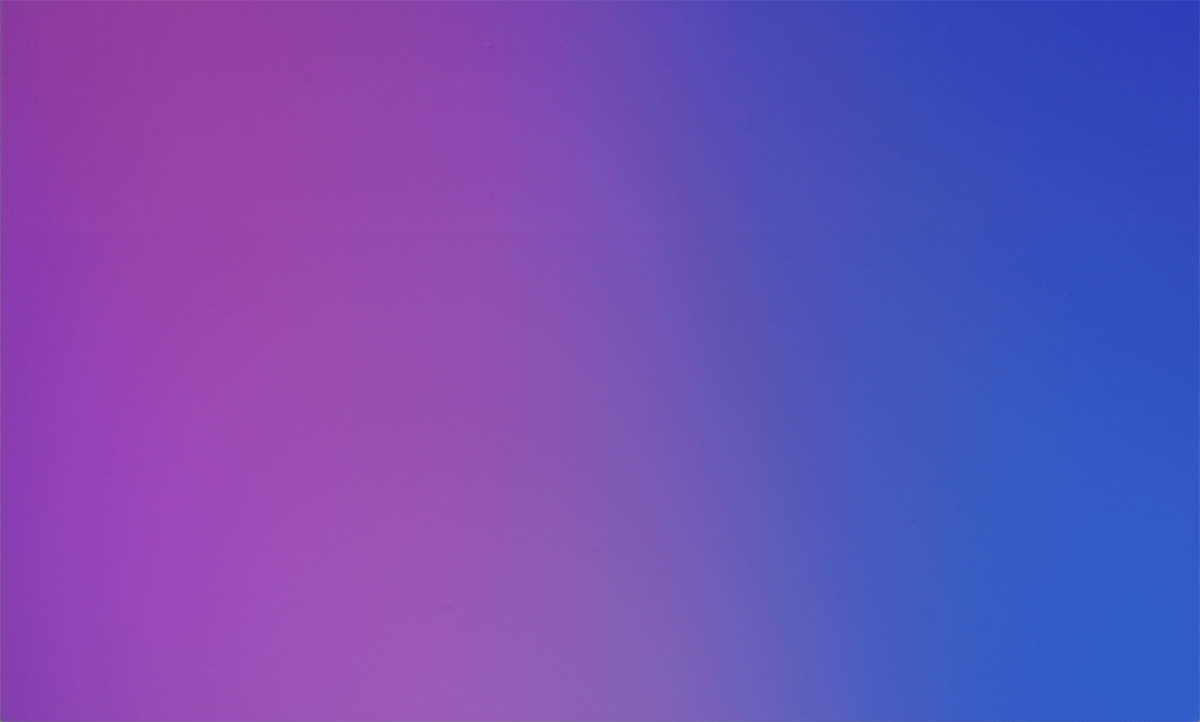 사전예약 신청자